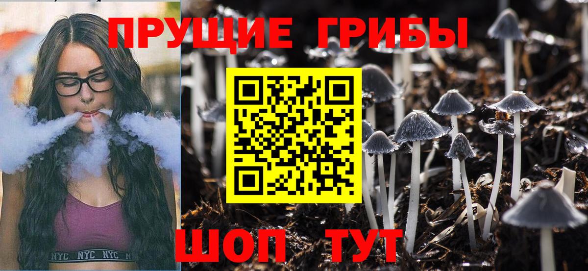 Галлюциногенные грибы Psilocybine cubensis Фурманов