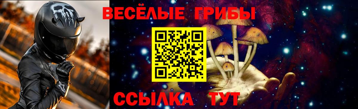 Фурманов  Псилоцибиновые грибы MAGIC MUSHROOMS  Вход с VPN 
